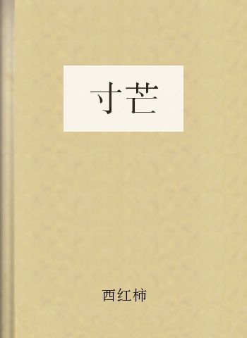 寸芒