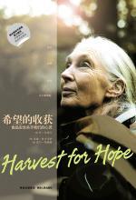 希望的收获