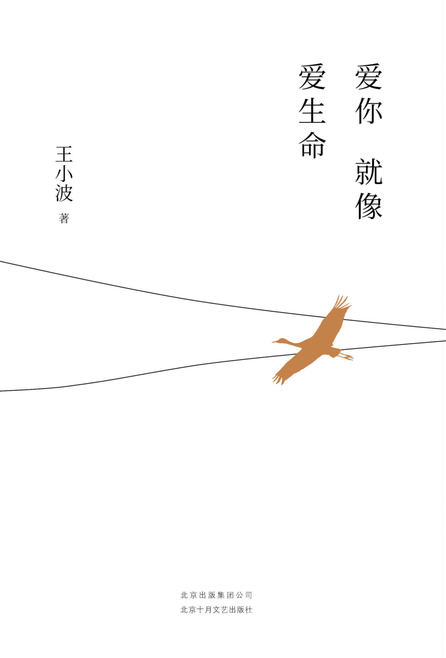 爱你就像爱生命（李银河独家授权，亲自校订全稿。朱一龙夏日推荐书单，独家首次曝光王小波写在五线谱上的情书和亲笔书信照片。）