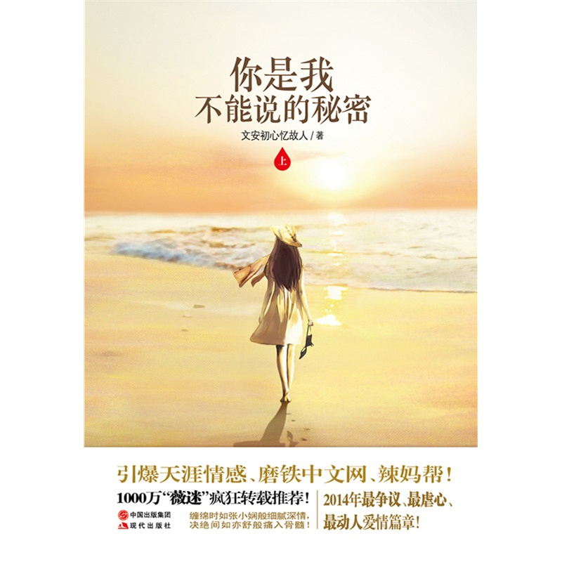 你是我不能说的秘密