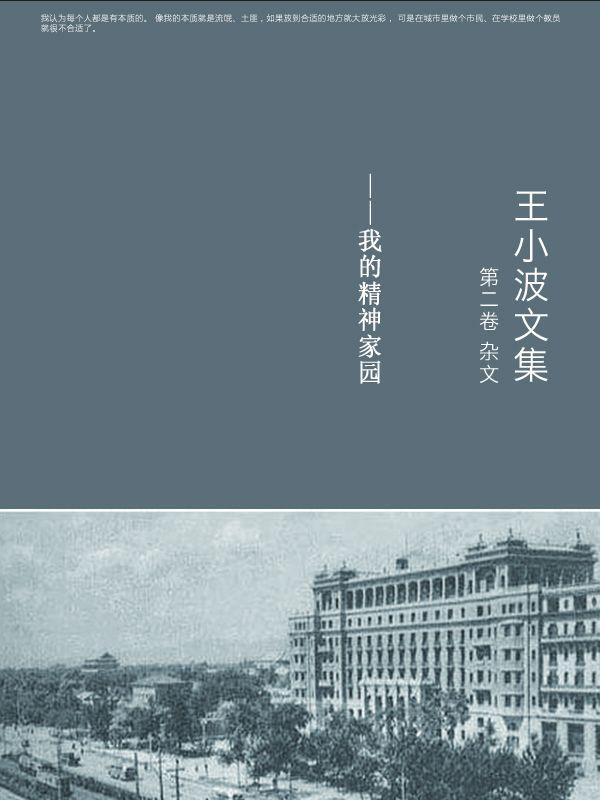 王小波文集.第二卷