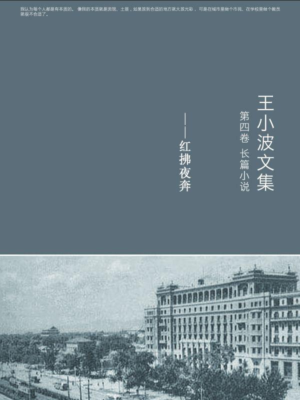 王小波全集.第四卷