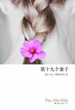 第十九个妻子