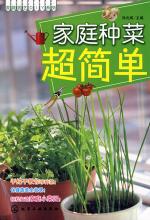 家庭种菜超简单