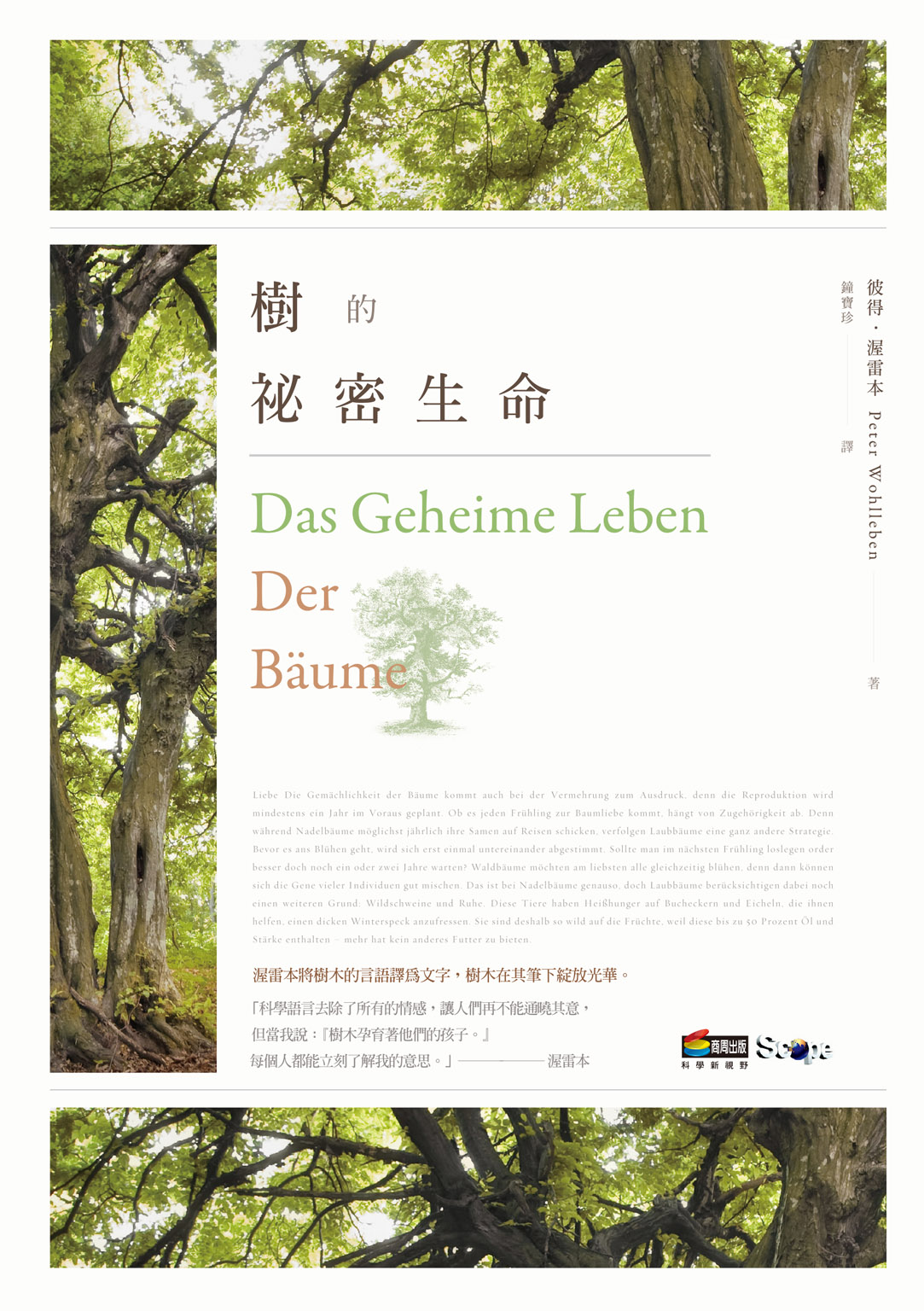 樹的祕密生命
