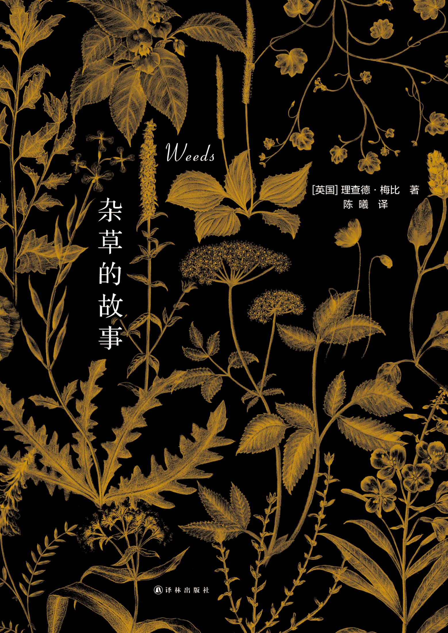 杂草的故事