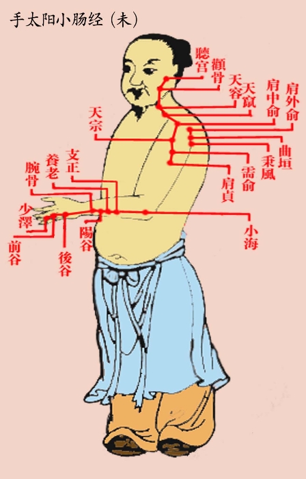 人体十二经脉揭秘及统全息生命机理