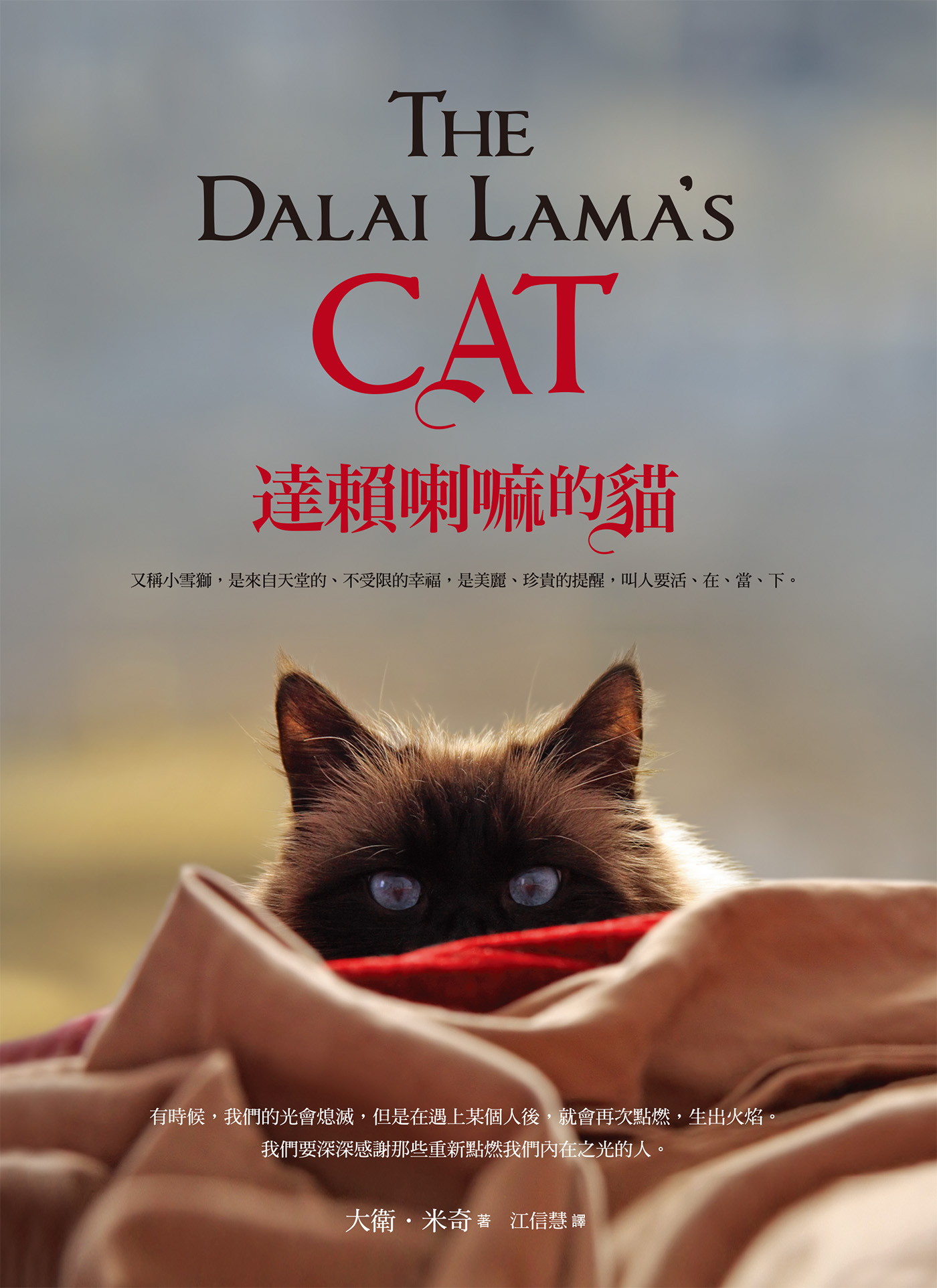 達賴喇嘛的貓