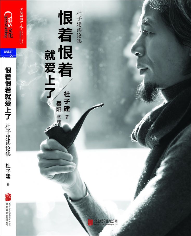 恨着恨着就爱上了：杜子建谬论集