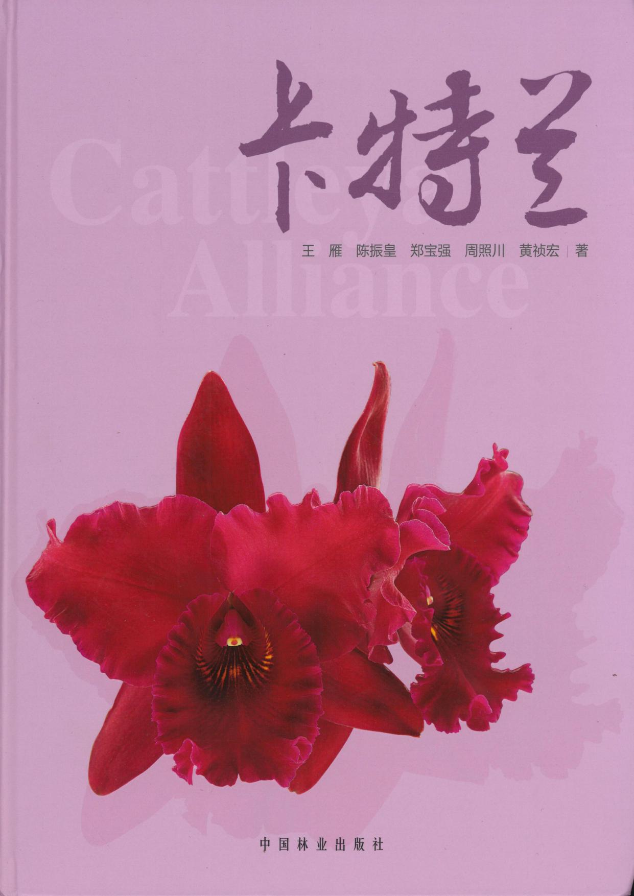 卡特兰