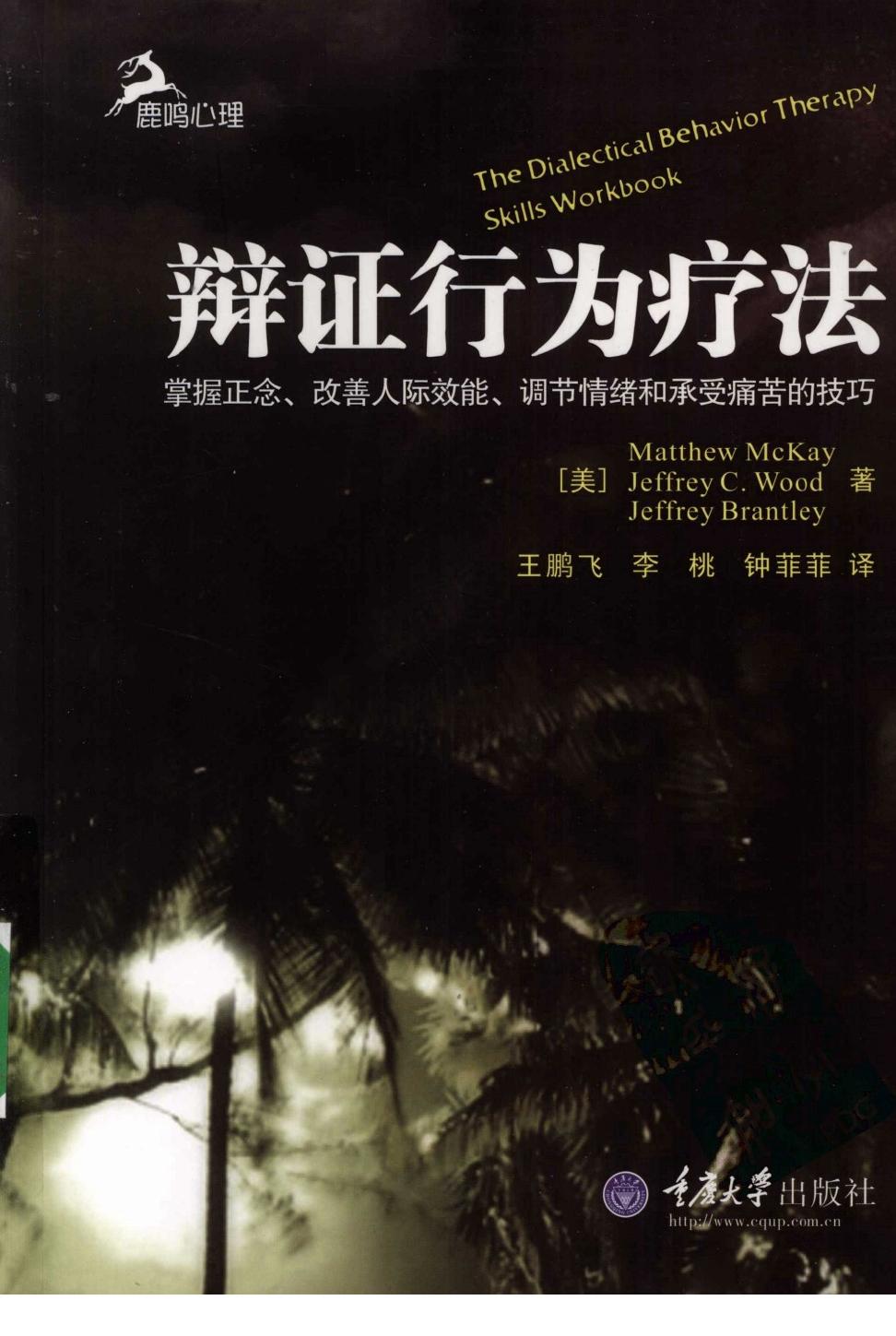 辩证行为疗法