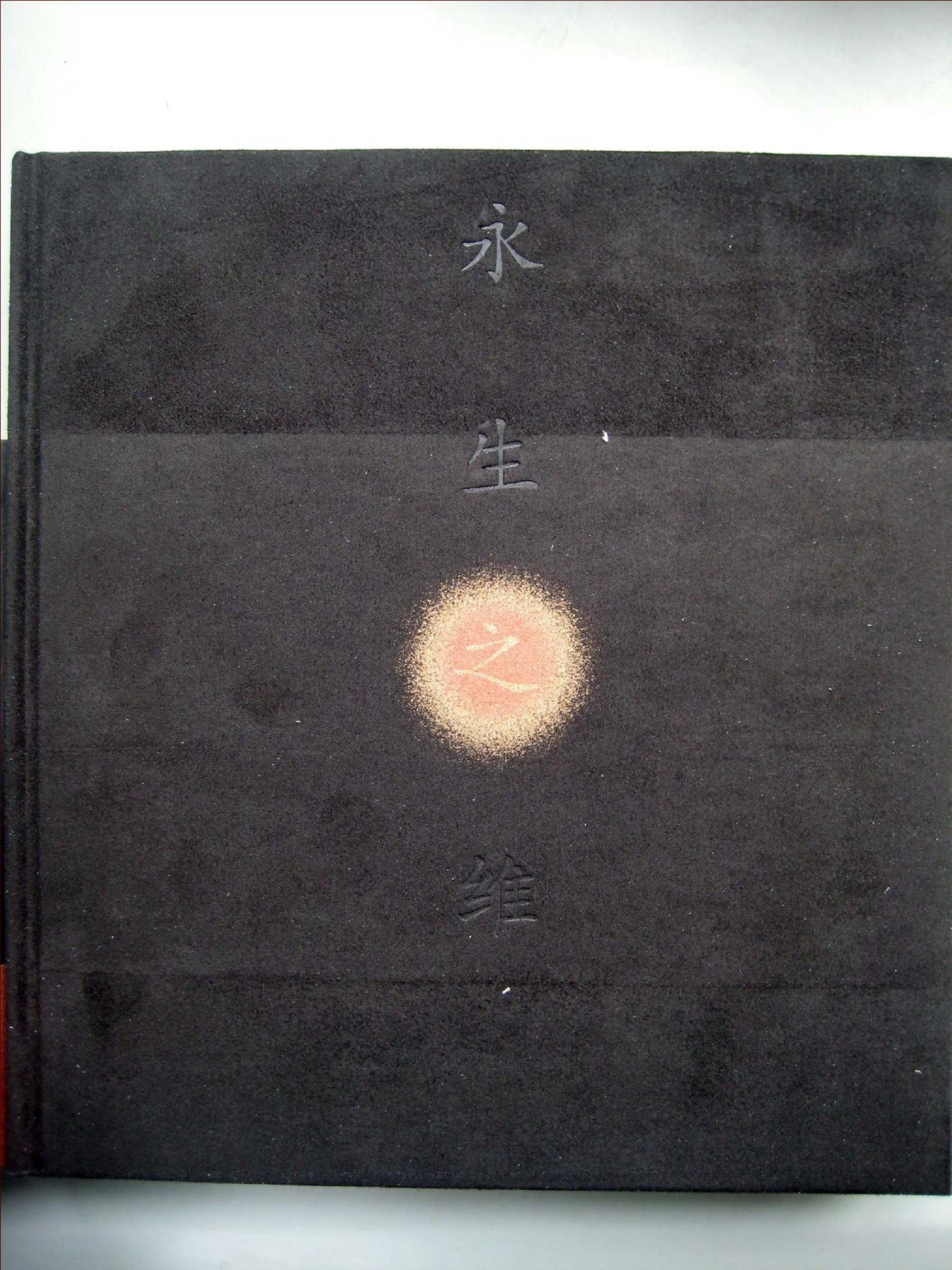 中国墓室壁画史 永生之维