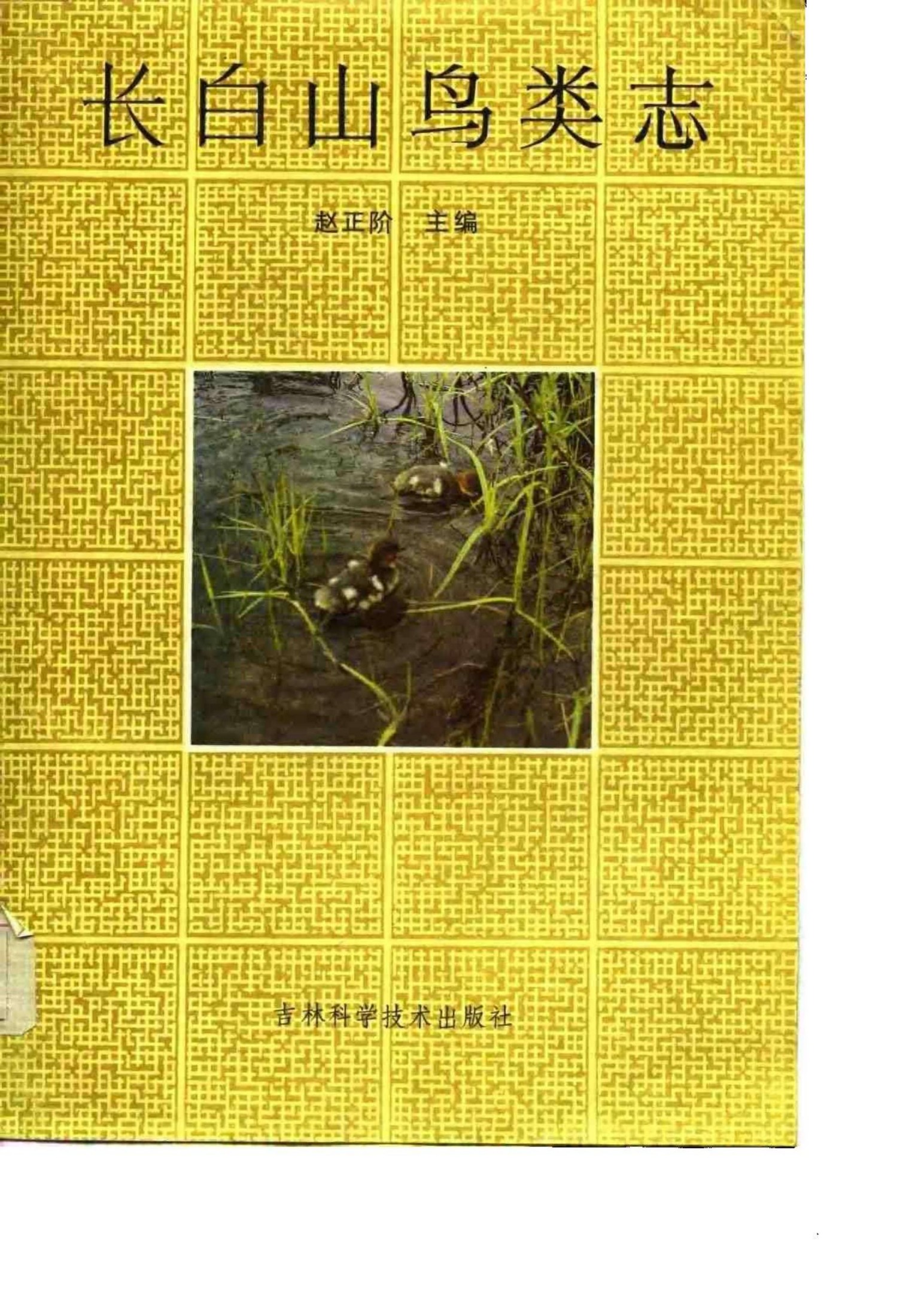 长白山鸟类志