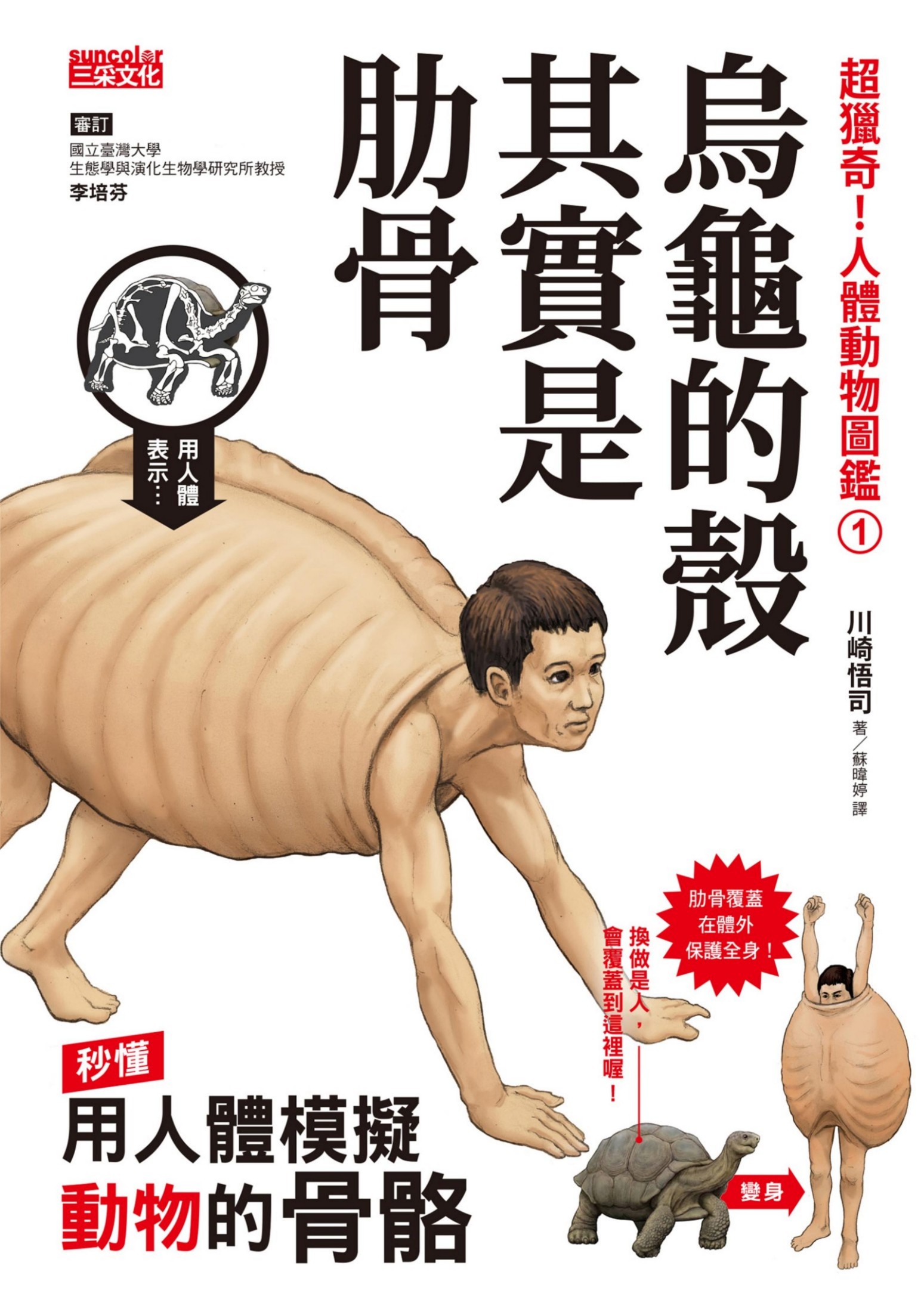 超獵奇！人體動物圖鑑① 烏龜的殼其實是肋骨