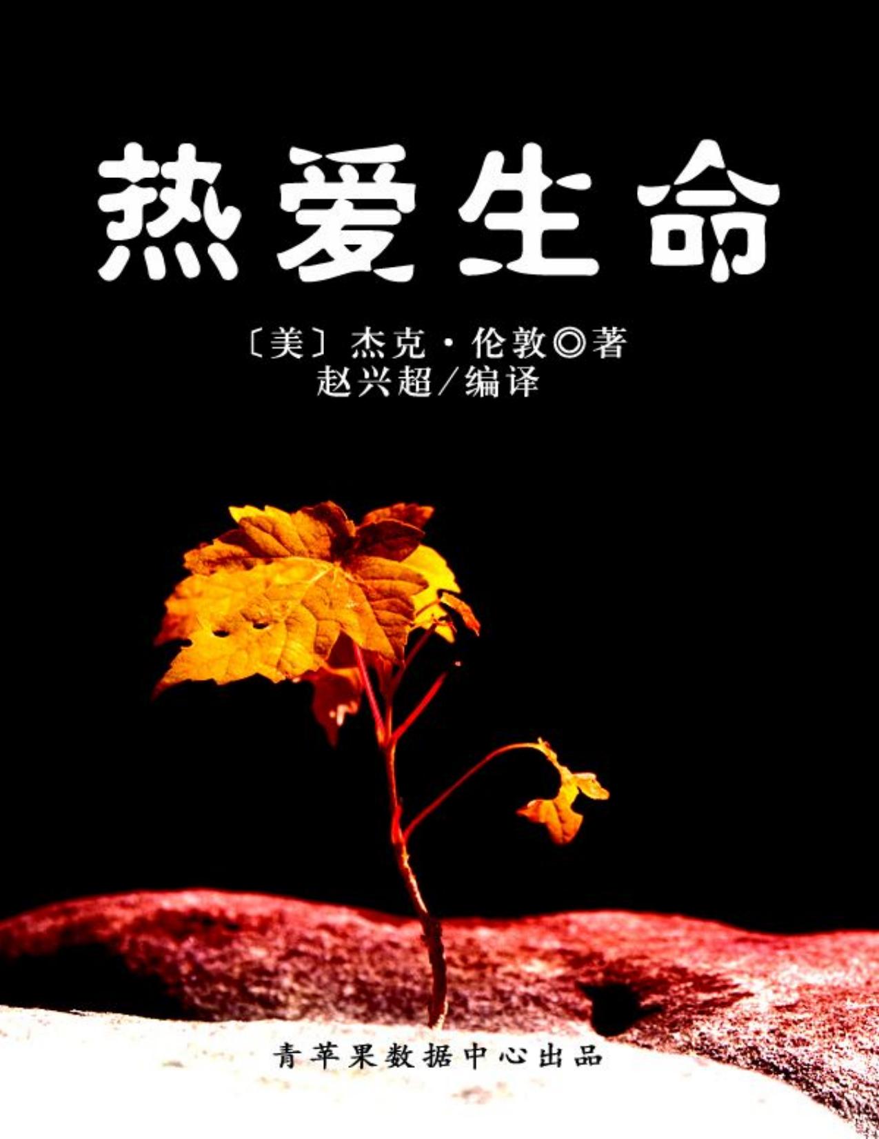 热爱生命经典世界名著