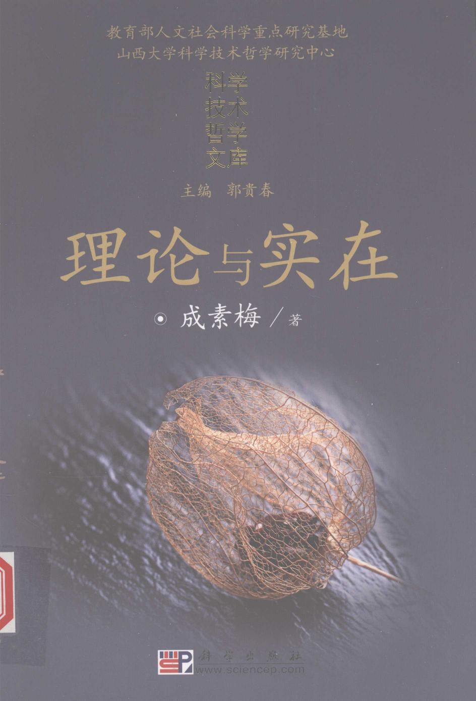 理论与实在 一种语境论的视角