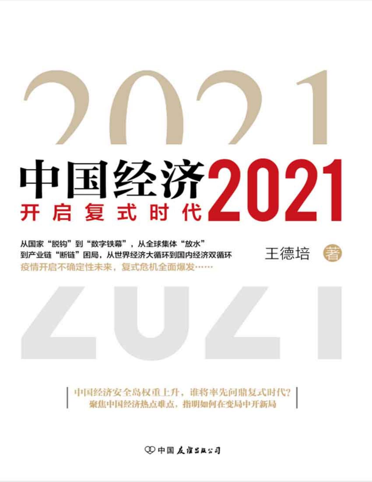 中国经济2021（中国经济安全岛权重上升，谁将率先问鼎复式时代？聚焦中国经济热点难点，指明如何在变局中开新局）