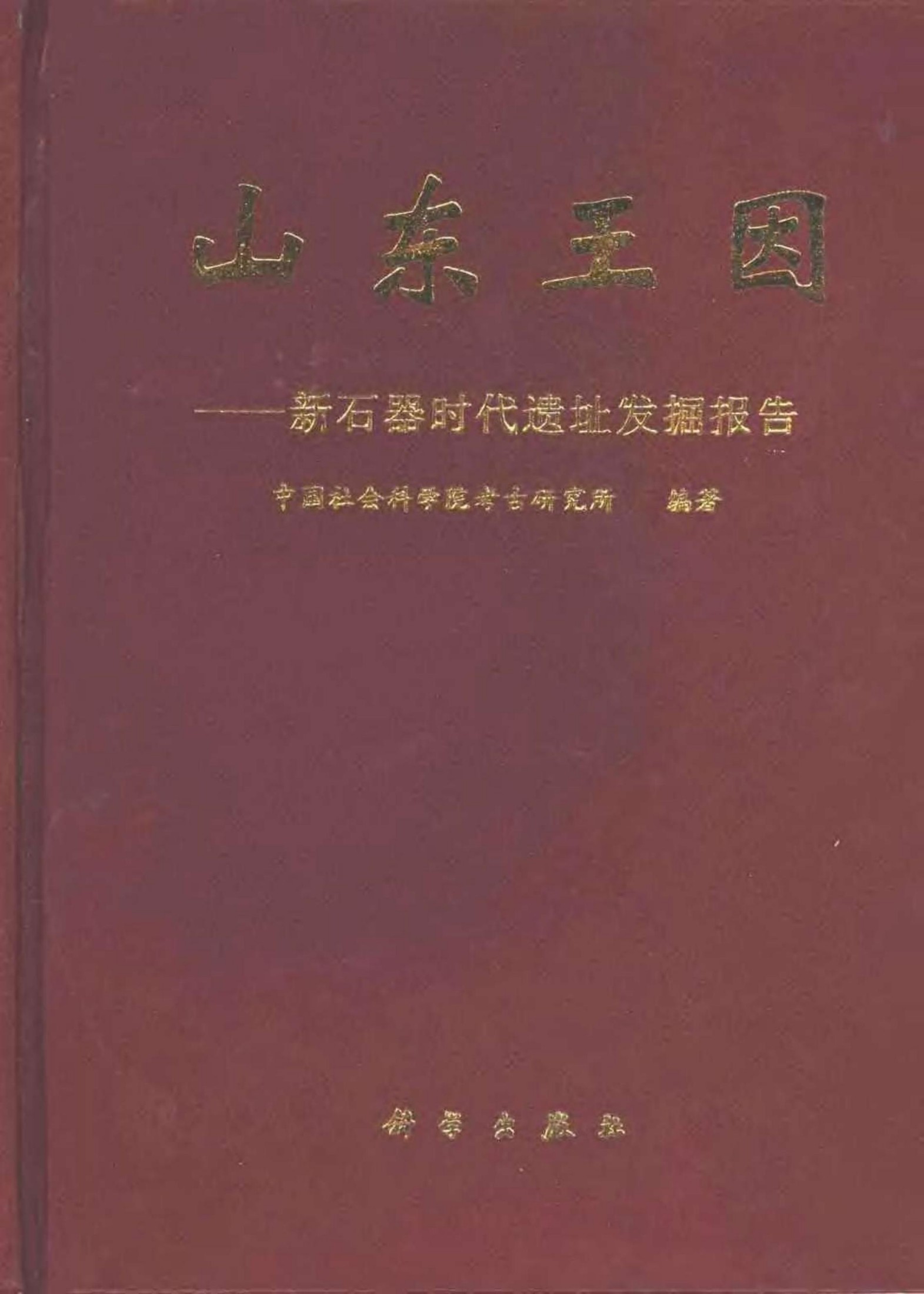 山东王因：新石器时代遗址发掘报告