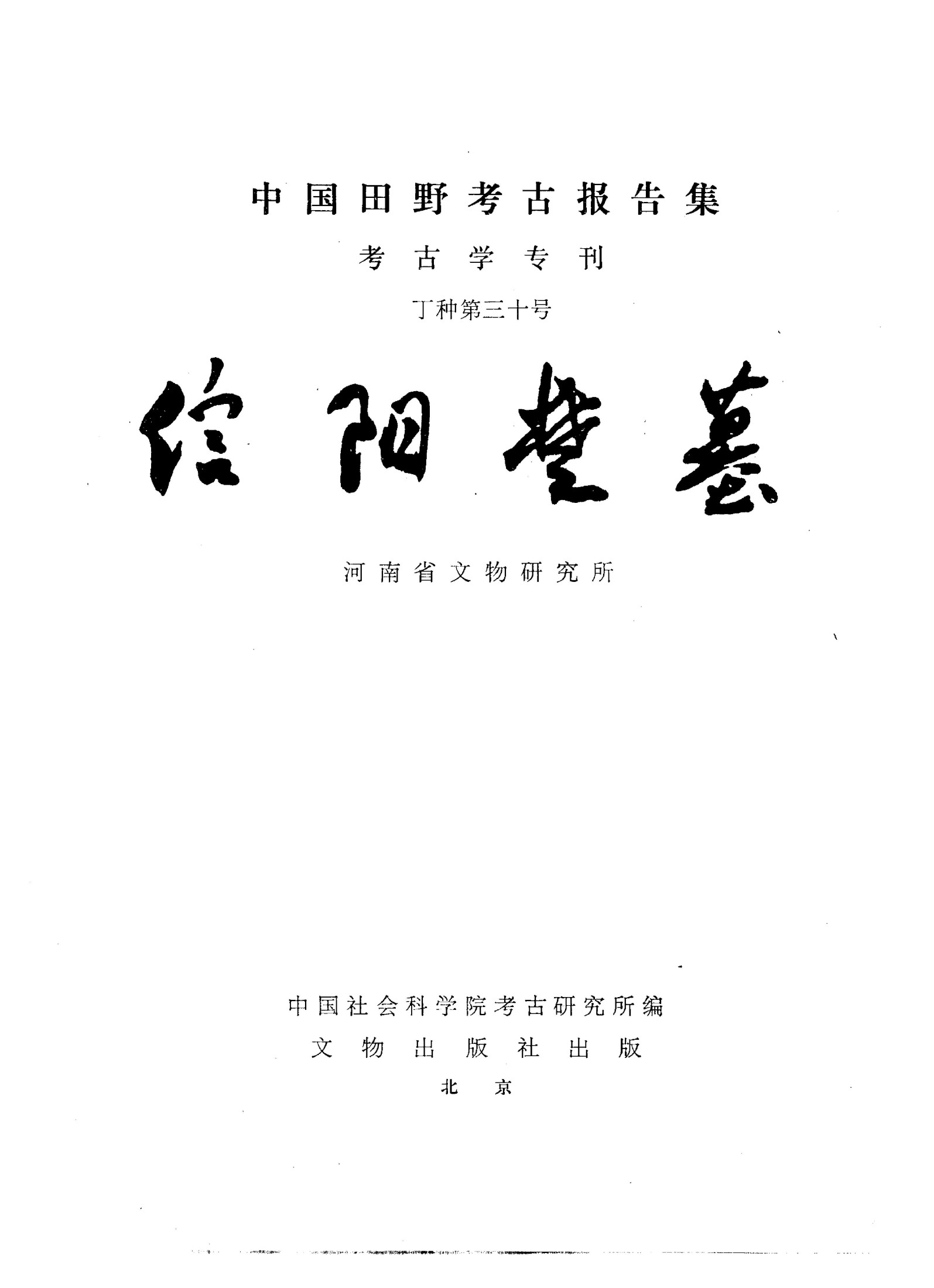 信阳楚墓 中国田野考古报告集考古学专刊 丁种第三十号