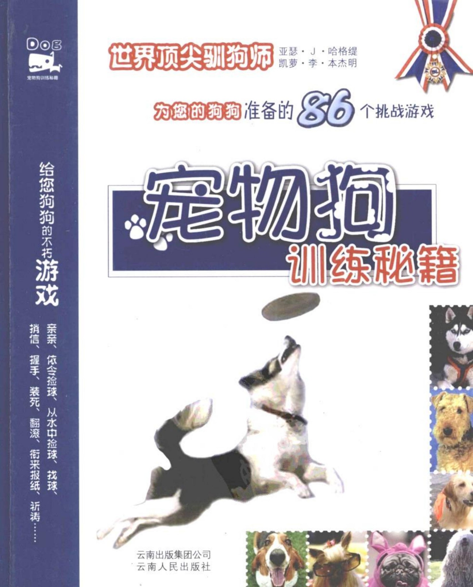 宠物狗训练秘籍