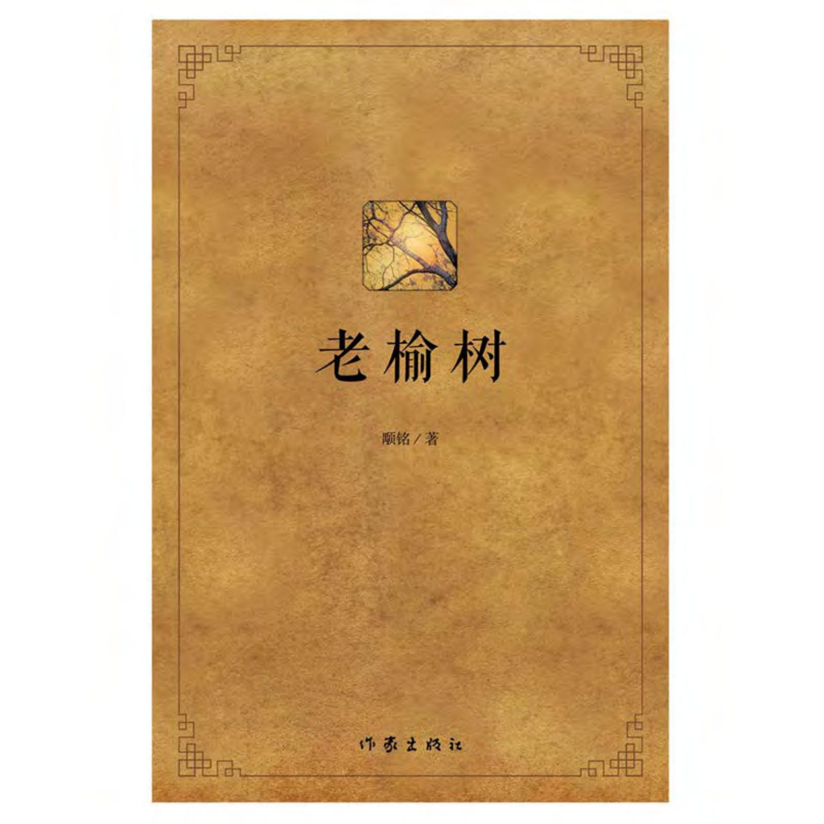 老榆树