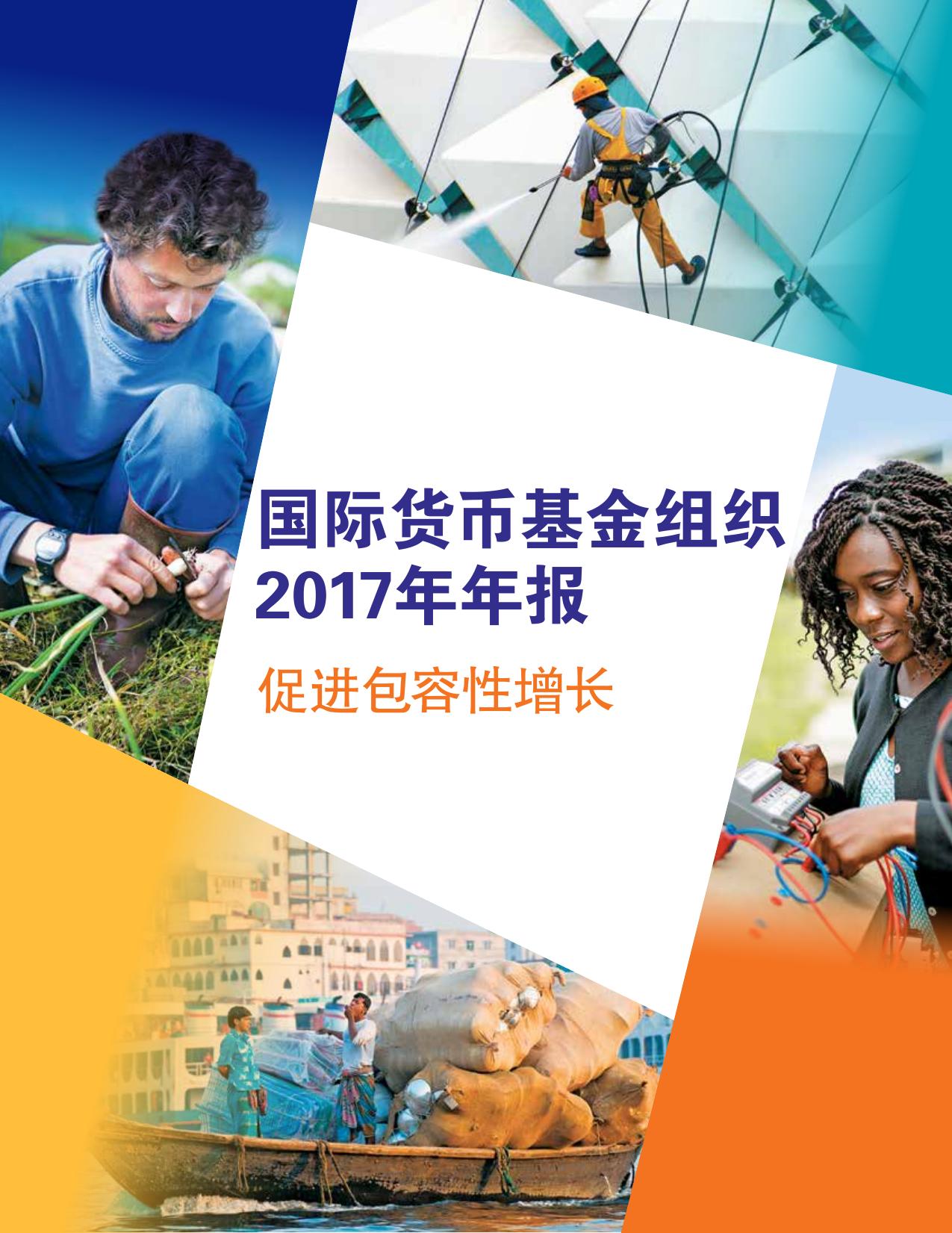 IMF Annual Report 2017 Chinese